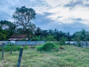 Land Sale Manchanthoduvai