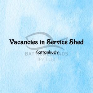 Vacancy Service Shed Kattankudy