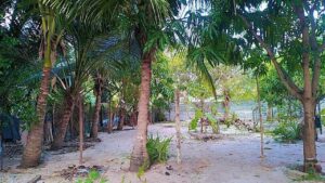 Land Sale Kattankudy Arayampathy