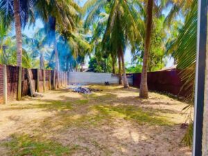Land Sale Palamunai Kattankudy