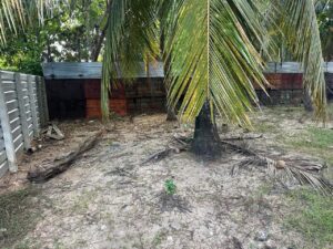 X Land Sale Palamunai Kattankudy