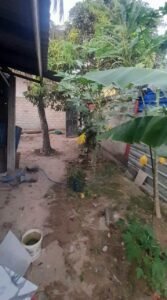 House Sale Kattankudy