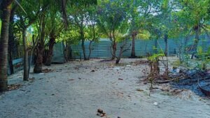 Land Sale Kattankudy Arayampathy