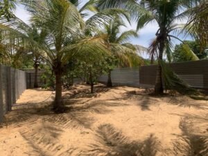 Land Sale Kattankudy Manchanthoduvai