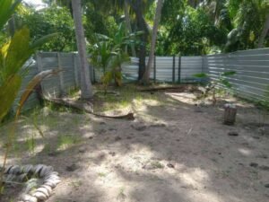 Land Sale Kattankudy Poonochimunai