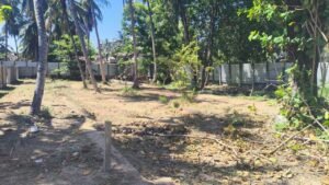 Land Sale Kattankudy
