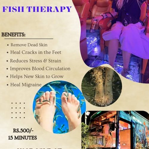 Ceylon Fish Therapy