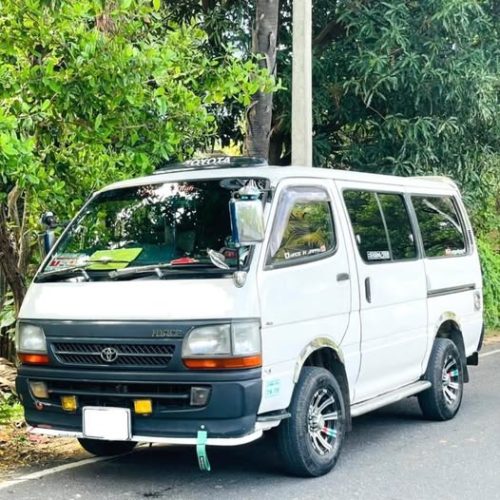 Dolphin Hiace