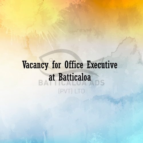 Front Office Executive Vacancies