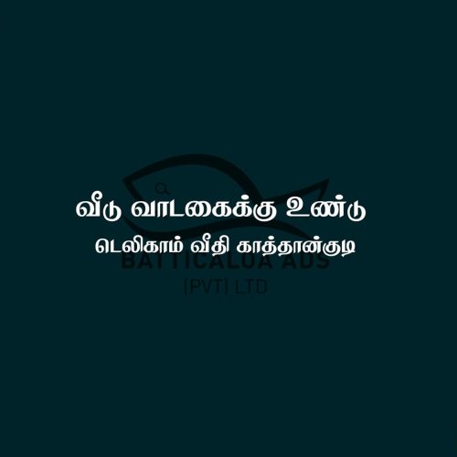 HOUSE RENT KATTANKUDY