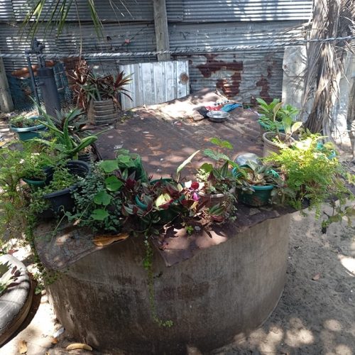 HOUSE-SALE-ARAYAMPATHY-5786-