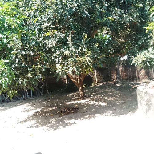 HOUSE-SALE-KALLAR-5827-7