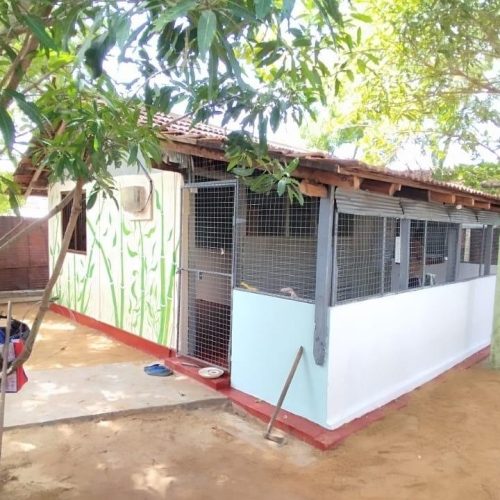 House Sale Karbala