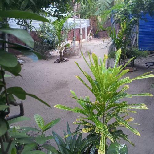 HOUSE-SALE-POONOCHIMUNAI-5338-6