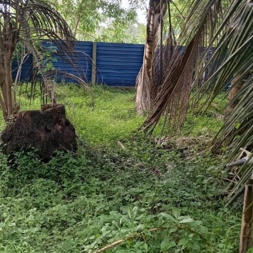 LAND-SALE-ARAYAMPATHY-5939-7