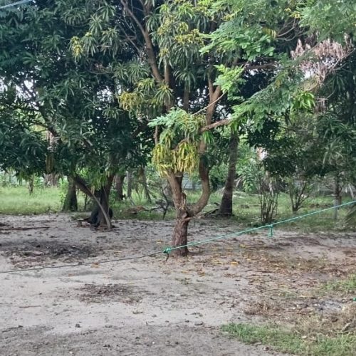 LAND-SALE-ARAYAMPATHY-5939-9
