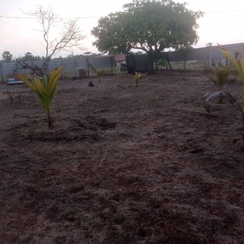 LAND-SALE-ERAVUR-5989-2