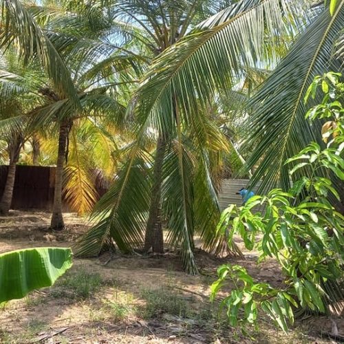 LAND-SALE-KARBALA-5838-12