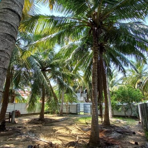 LAND-SALE-KARBALA-5838-6