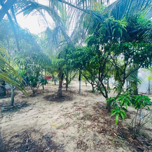 LAND-SALE-KARBALA-5867-1