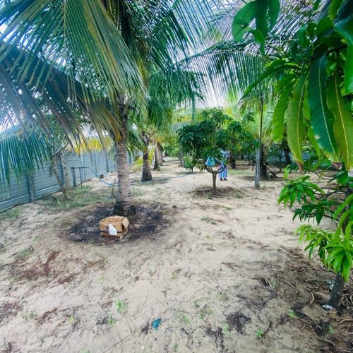 LAND-SALE-KARBALA-5867-3