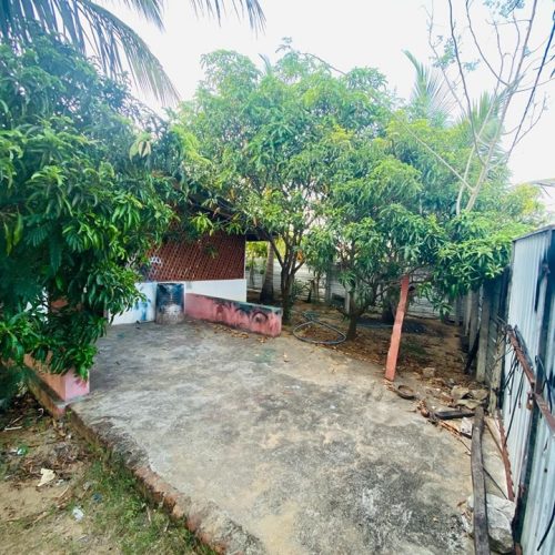 LAND-SALE-KARBALA-5867-5