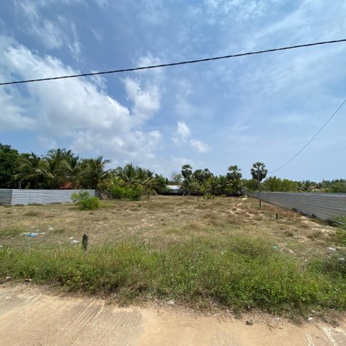 LAND-SALE-KARBALA-5906-1