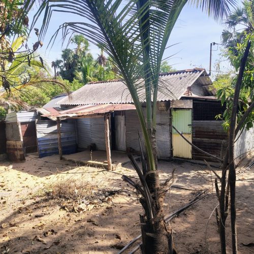 LAND-SALE-KARBALA-6083-4