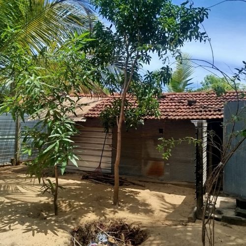 Land Sale Karbala
