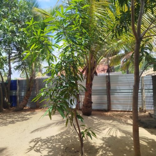 Land Sale Karbala