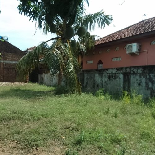 Land Sale Kattankudy
