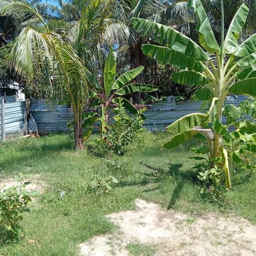 Land Sale Kattankudy