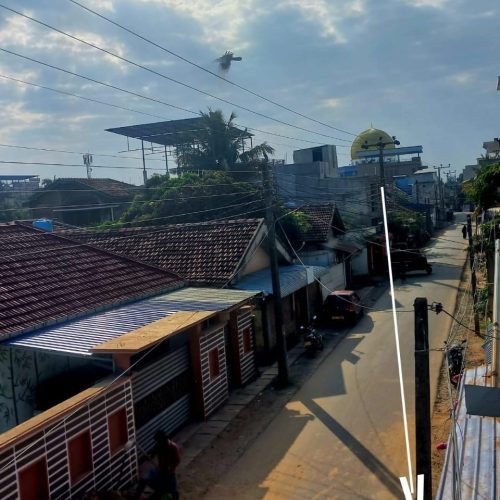 Land Sale Kattankudy