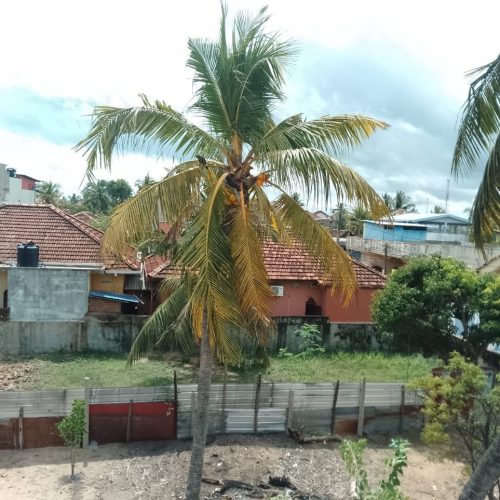 Land Sale Kattankudy
