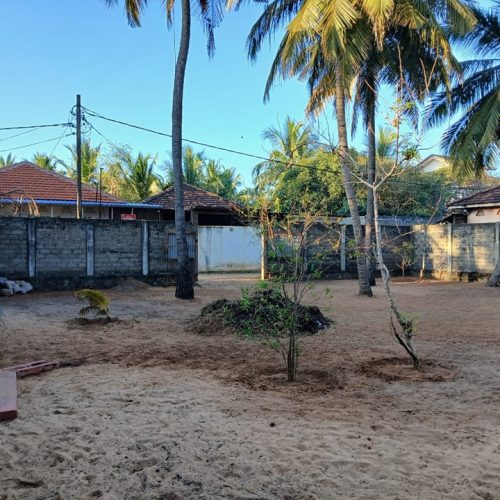 LAND-SALE-KATTANKUDY-5625-1