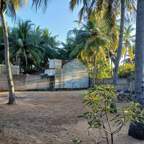 LAND-SALE-KATTANKUDY-5625-4