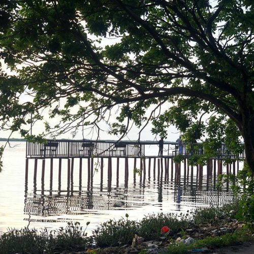 LAND-SALE-KATTANKUDY-5831-11