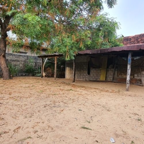 LAND-SALE-KATTANKUDY-5855-1