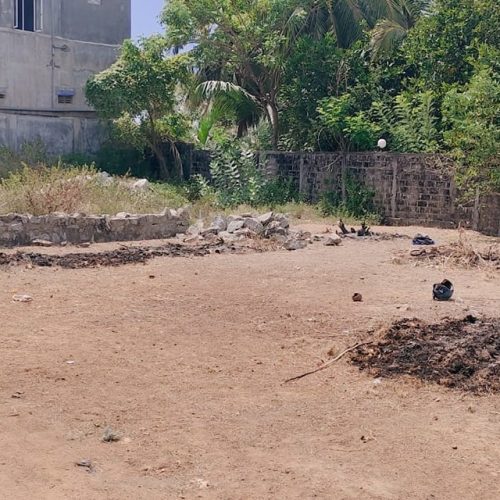 LAND-SALE-KATTANKUDY-5884-2