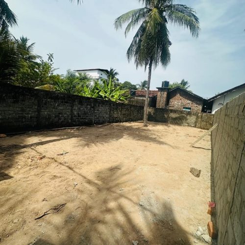 LAND-SALE-KATTANKUDY-5903-3