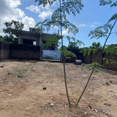 LAND-SALE-KATTANKUDY-5930-2