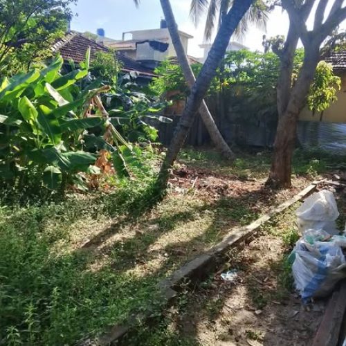 LAND-SALE-KATTANKUDY-5934-