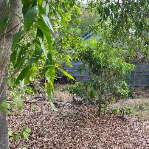 LAND-SALE-KATTANKUDY-5955-1
