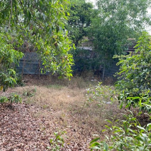 LAND-SALE-KATTANKUDY-5955-2