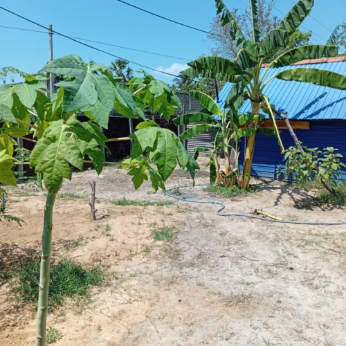 Land Sale Kattankudy