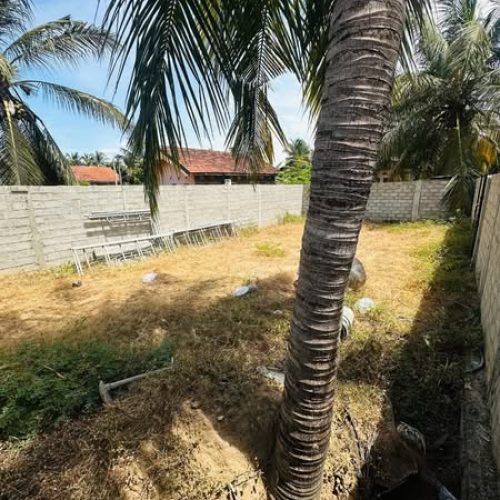 LAND-SALE-KATTANKUDY-6005-1