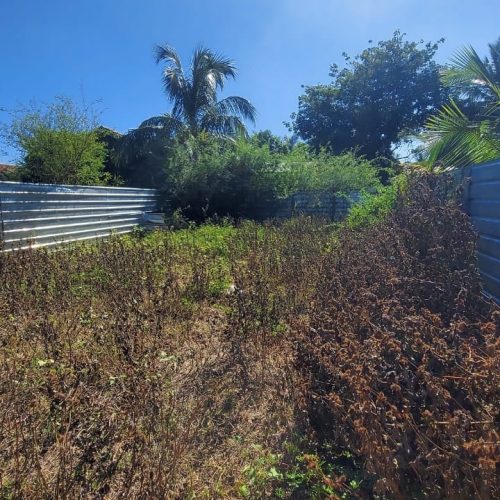 LAND-SALE-KATTANKUDY-6072-3