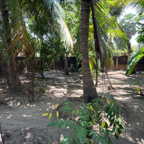 LAND-SALE-KATTANKUDY-6093-5