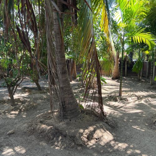 LAND-SALE-KATTANKUDY-6093-6