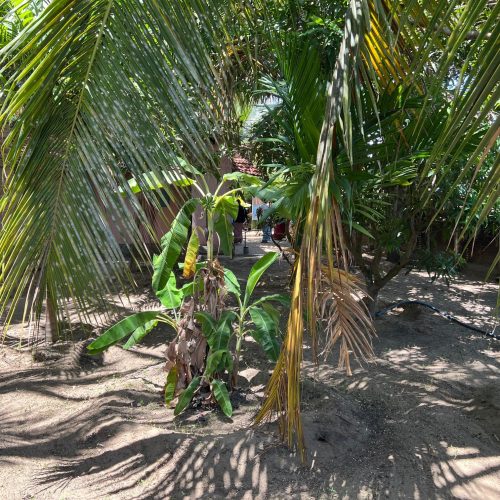 LAND-SALE-KATTANKUDY-6093-9